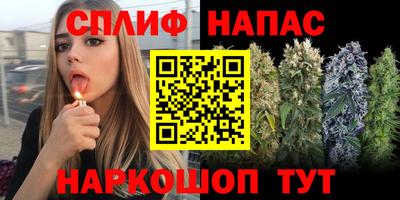 Альфа ПВП Дубна